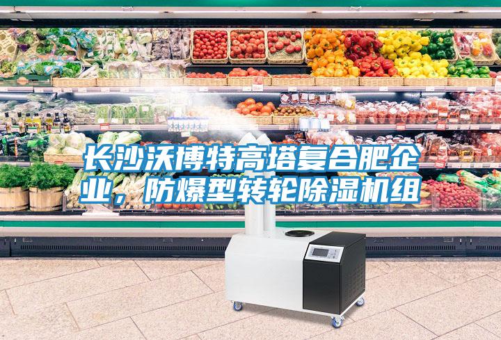 長沙沃博特高塔復合肥企業，防爆型轉輪除濕機組
