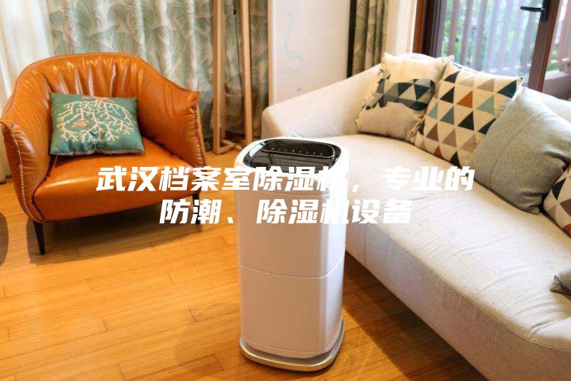 武漢檔案室除濕機，專業的防潮、除濕機設備