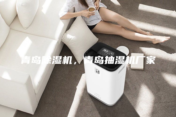 青島除濕機，青島抽濕機廠家