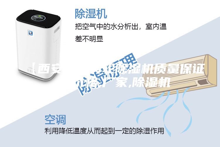 【西安小型轉(zhuǎn)輪除濕機(jī)質(zhì)量保證 】價(jià)格,廠家,除濕機(jī)