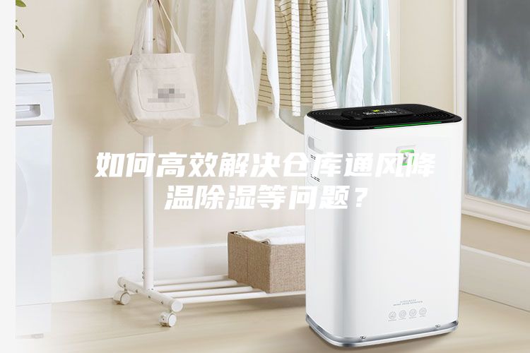 如何高效解決倉庫通風降溫除濕等問題？