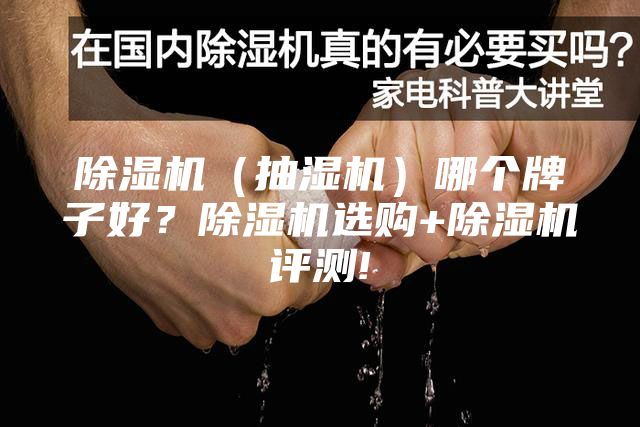 除濕機（抽濕機）哪個牌子好？除濕機選購+除濕機評測!