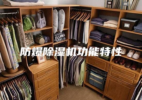 防爆除濕機功能特性