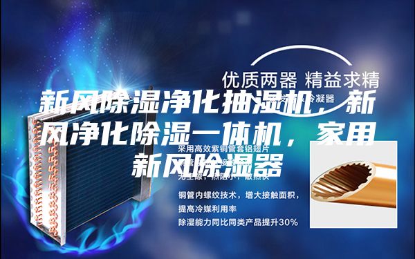 新風除濕凈化抽濕機，新風凈化除濕一體機，家用新風除濕器