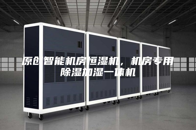 原創(chuàng)智能機房恒濕機，機房專用除濕加濕一體機