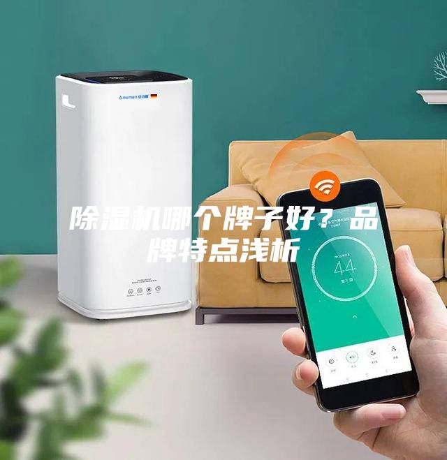 除濕機(jī)哪個牌子好？品牌特點(diǎn)淺析
