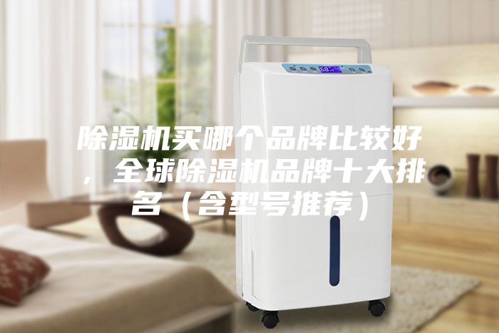 除濕機買哪個品牌比較好，全球除濕機品牌十大排名（含型號推薦）