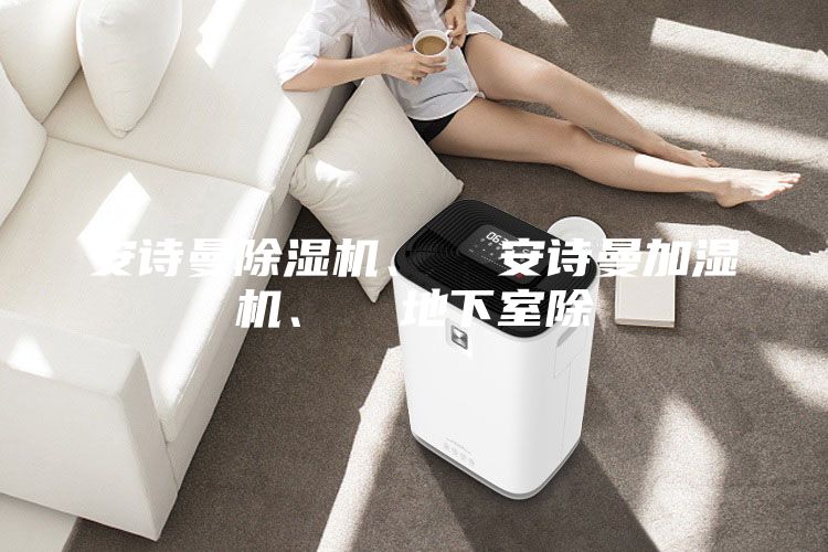 安詩曼除濕機、  安詩曼加濕機、  地下室除