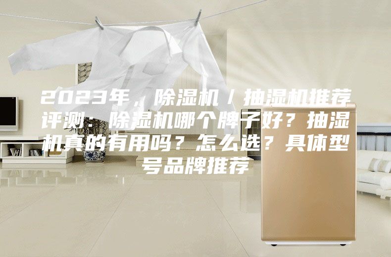 2023年，除濕機／抽濕機推薦評測：除濕機哪個牌子好？抽濕機真的有用嗎？怎么選？具體型號品牌推薦