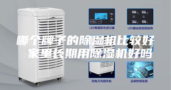 哪個(gè)牌子的除濕機(jī)比較好 家里長期用除濕機(jī)好嗎