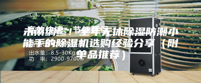 未雨綢繆！全年無(wú)休除濕防潮小能手的除濕機(jī)選購(gòu)經(jīng)驗(yàn)分享（附單品推薦）