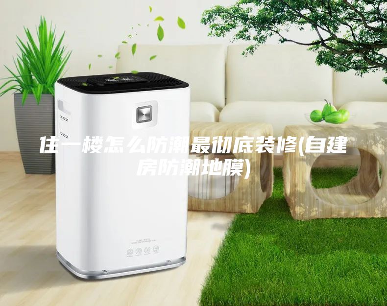 住一樓怎么防潮最徹底裝修(自建房防潮地膜)