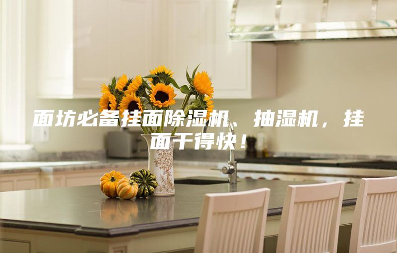 面坊必備掛面除濕機(jī)、抽濕機(jī)，掛面干得快！