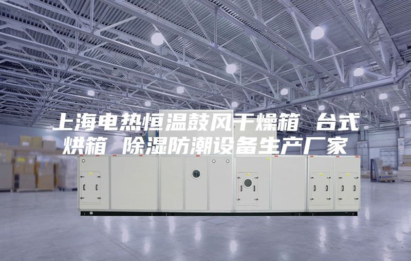 上海電熱恒溫鼓風干燥箱 臺式烘箱 除濕防潮設備生產廠家