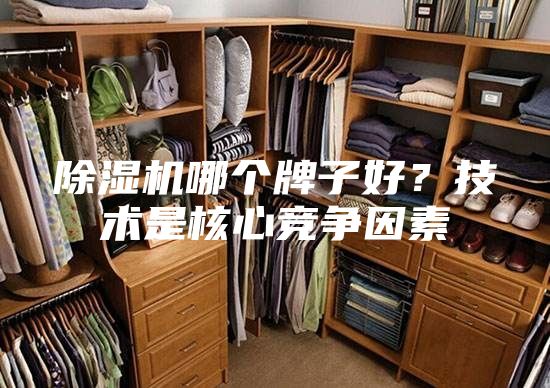 除濕機(jī)哪個牌子好？技術(shù)是核心競爭因素