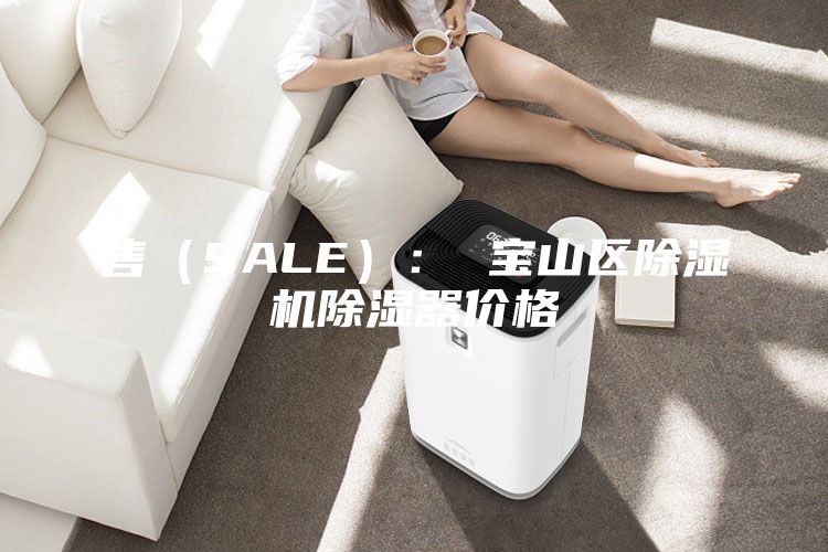 售(SALE): 寶山區除濕機除濕器價格