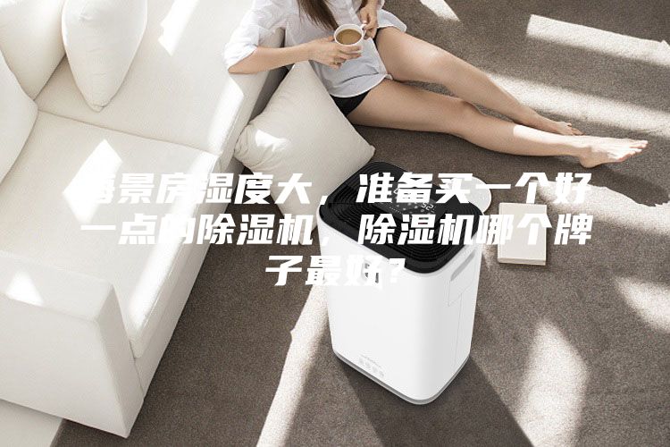 海景房濕度大，準備買一個好一點的除濕機，除濕機哪個牌子最好？