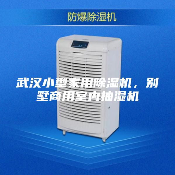 武漢小型家用除濕機，別墅商用室內(nèi)抽濕機