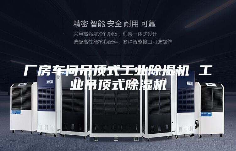 廠房車間吊頂式工業(yè)除濕機(jī) 工業(yè)吊頂式除濕機(jī)