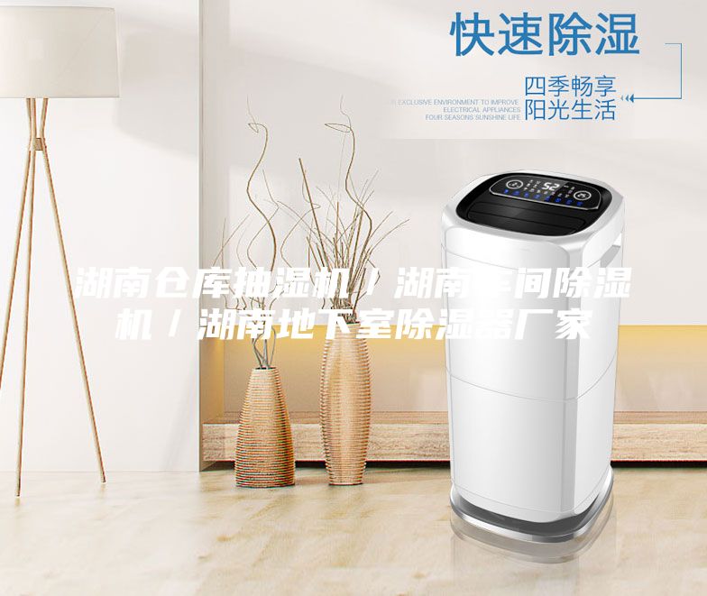 湖南倉庫抽濕機/湖南車間除濕機/湖南地下室除濕器廠家