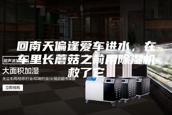 回南天偏逢愛車進(jìn)水，在車?yán)镩L(zhǎng)蘑菇之前用除濕機(jī)救了它
