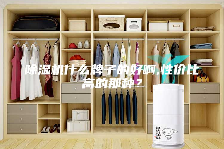 除濕機(jī)什么牌子的好啊,性價(jià)比高的那種？