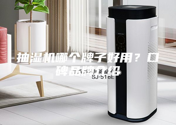 抽濕機哪個牌子好用？口碑品牌介紹