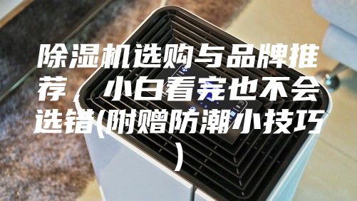 除濕機選購與品牌推薦,小白看完也不會選錯(附贈防潮小技巧)