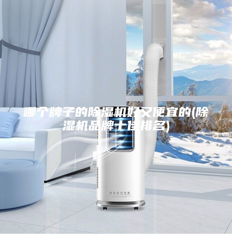 哪個牌子的除濕機好又便宜的(除濕機品牌十佳排名)
