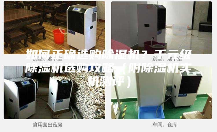 如何正確選購除濕機？千元級除濕機選購攻略（附除濕機實機測評）