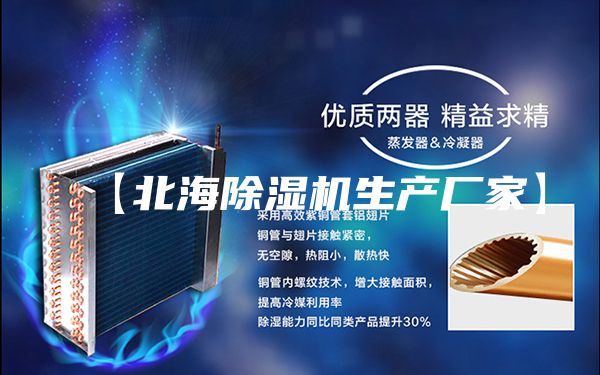 【北海除濕機生產廠家】