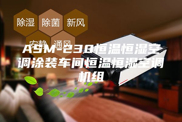 ASM-230恒溫恒濕空調(diào)涂裝車(chē)間恒溫恒濕空調(diào)機(jī)組