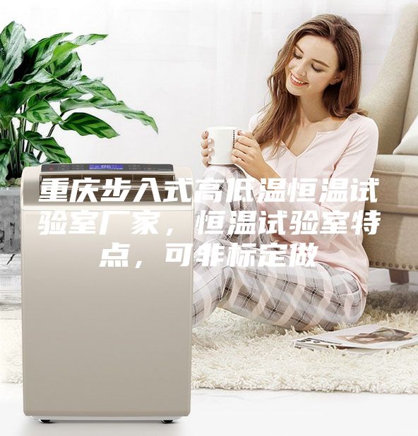 重慶步入式高低溫恒溫試驗室廠家,恒溫試驗室特點,可非標定做
