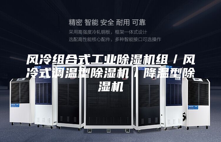風冷組合式工業除濕機組/風冷式調溫型除濕機/降溫型除濕機