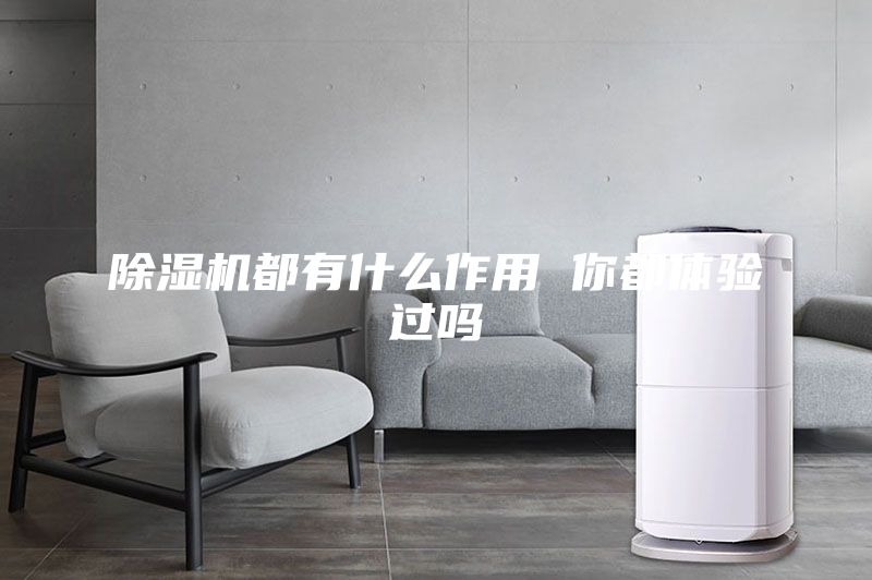 除濕機(jī)都有什么作用 你都體驗(yàn)過嗎