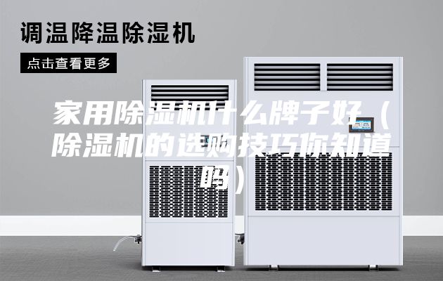 家用除濕機(jī)什么牌子好（除濕機(jī)的選購技巧你知道嗎）