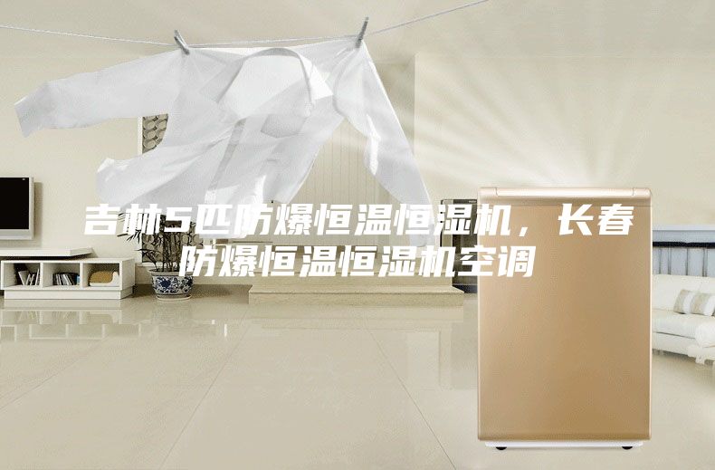 吉林5匹防爆恒溫恒濕機,長春防爆恒溫恒濕機空調