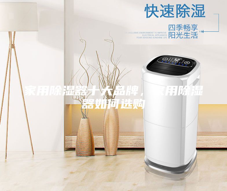 家用除濕器十大品牌，家用除濕器如何選購
