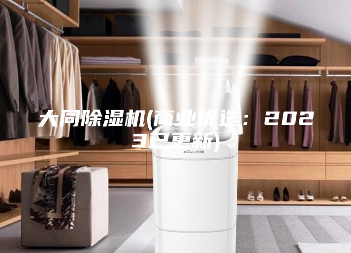 大同除濕機(jī)(商業(yè)優(yōu)選：2023已更新)