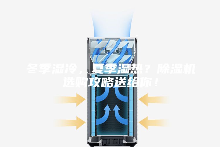 冬季濕冷,夏季濕熱?除濕機選購攻略送給你!