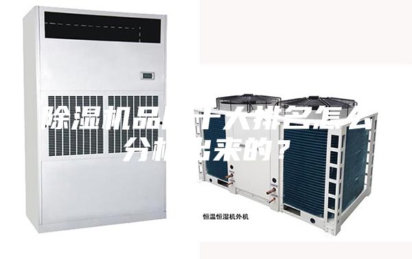 除濕機(jī)品牌十大排名怎么分析出來的？