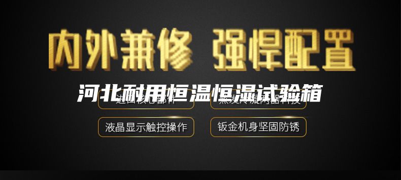 河北耐用恒溫恒濕試驗箱