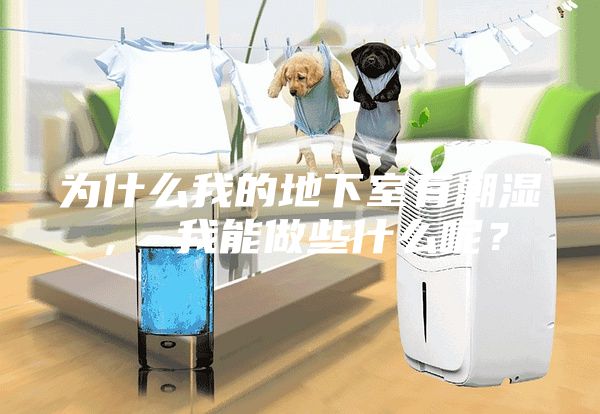 為什么我的地下室有潮濕， 我能做些什么呢？