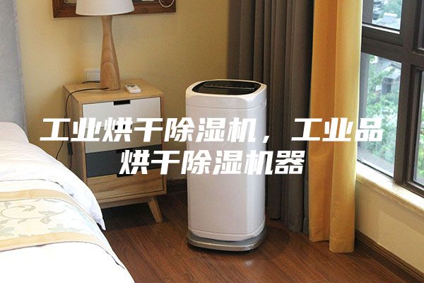 工業(yè)烘干除濕機(jī)，工業(yè)品烘干除濕機(jī)器