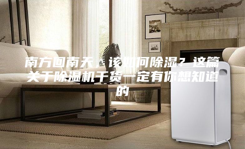 南方回南天，該如何除濕？這篇關(guān)于除濕機(jī)干貨一定有你想知道的