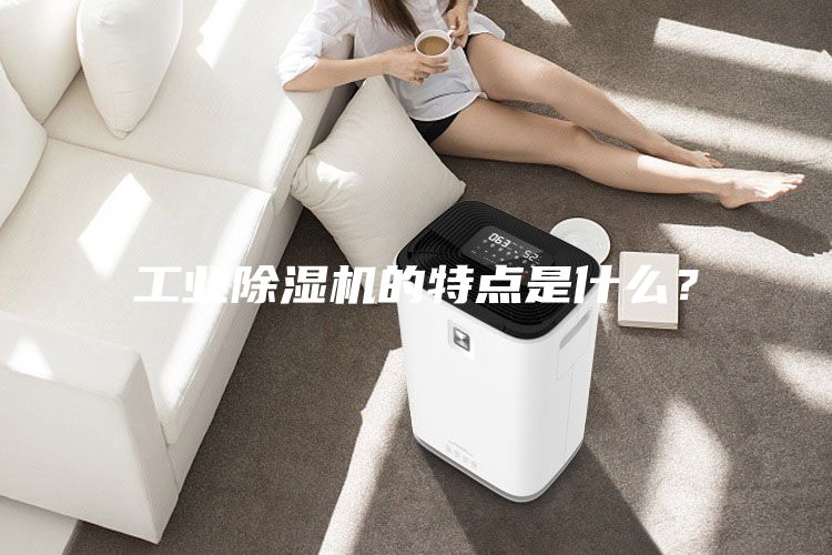 工業除濕機的特點是什么？