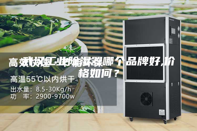 武漢工業(yè)除濕器哪個品牌好,價格如何？