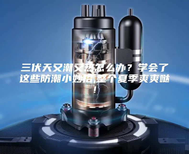 三伏天又潮又熱怎么辦？學會了這些防潮小妙招,整個夏季爽爽噠!