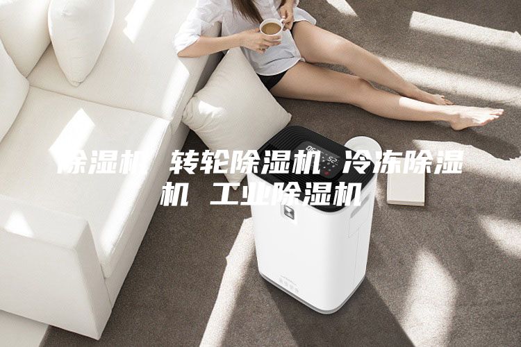 除濕機 轉輪除濕機 冷凍除濕機 工業除濕機