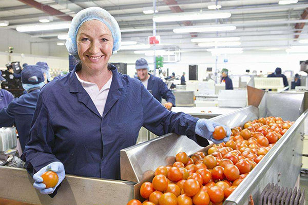 食品加工行業中除濕機的地位有多重要